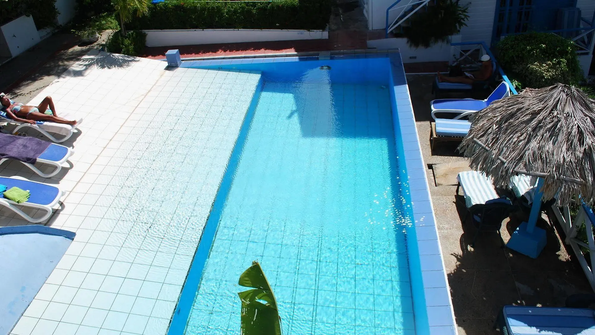 סקרבורו Half Moon Blue Hotel